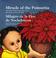 Cover of: Miracle of the poinsettia