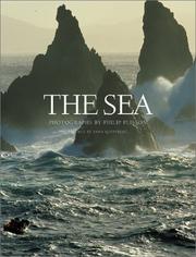 Cover of: The Sea