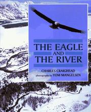 The eagle and the river by Charles Craighead