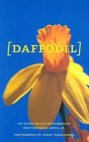 Cover of: Daffodil by Clyde Wachsberger