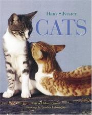 Cover of: A child's guide to cats