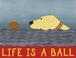 Cover of: Stephen Huneck Life's a Ball