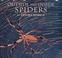 Cover of: Outside and inside spiders