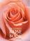 Cover of: The Ultimate Rose Book