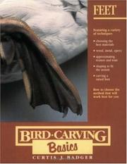 Cover of: Bird Carving Basics by Curtis J. Badger