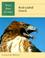 Cover of: Red-Tailed Hawk (Wild Bird Guides)