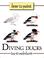 Cover of: How to paint diving ducks
