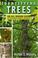Cover of: Identifying Trees