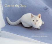 Cover of: 2008 Wall Calendar: Cats in the Sun