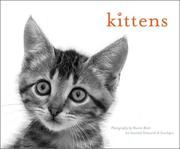 Cover of: Kittens Notecards by Sharon Beals