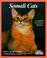Cover of: Somali cats