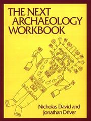 Cover of: The  next archaeology workbook