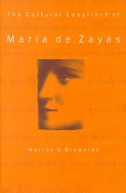 Cover of: The Cultural Labyrinth of Maria De Zayas