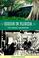 Cover of: Edison in Florida