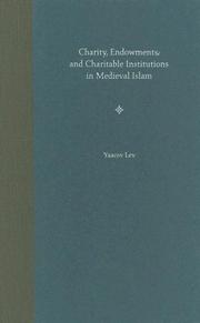 Charity, endowments, and charitable institutions in medieval Islam by Yaacov Lev