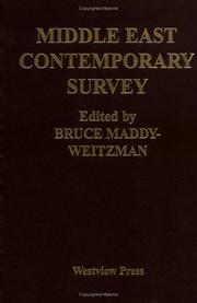 Cover of: Middle East Contemporary Survey 1996 (Middle East Contemporary Survey) by Bruce Maddy-Weitzman