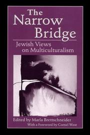 Cover of: The narrow bridge by edited by Marla Brettschneider ; [with a foreword by Cornel West].