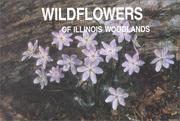 Cover of: Wildflowers of Illinois woodlands by Sylvan T. Runkel