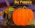 Cover of: Big pumpkin