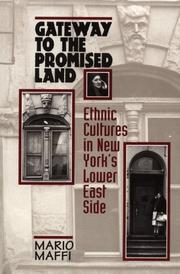 Cover of: Gateways to the Promised Land: Ethnicity and Culture in New York's Lower East Side
