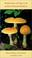 Cover of: Mushrooms of Cape Cod and the National Seashore