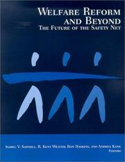 Cover of: Welfare reform and beyond by Isabel V. Sawhill ... [et al.], editors.