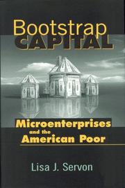 Cover of: Bootstrap Capital: Microenterprises and the American Poor