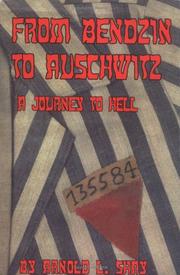 Cover of: From Bendzin to Auschwitz: a journey to Hell