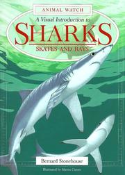Cover of: A Visual Introduction to Sharks: Skates and Rays (Animal Watch)