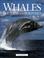 Cover of: Whales, dolphins, and porpoises
