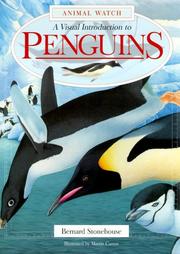 Cover of: A Visual Introduction to Penguins (Animal Watch)