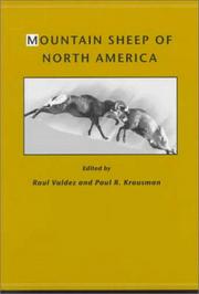 Cover of: Mountain sheep of North America