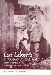 Cover of: Lost Laborers In Colonial California by Stephen W. Silliman