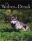 Cover of: The Wolves of Denali