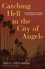 Cover of: Catching Hell In The City Of Angels: Life And Meanings Of Blackness In South Central Los Angeles (Critical American Studies)