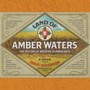 Cover of: Land of Amber Waters | Doug Hoverson