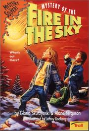 Cover of: Mystery of the Fire in the Sky (Mystery Solvers) | Gloria Skurzynski