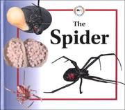 Cover of: The spider