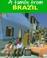 Cover of: A family from Brazil