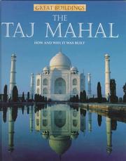 The Taj Mahal by Christine Moorcroft