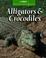 Cover of: Alligators & Crocodiles (The Untamed World)