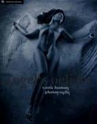 Cover of: Angel's Delight by Markus Hofmann, Christian Zillner