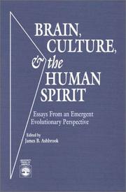 Cover of: Brain, culture & the human spirit: essays from an emergent evolutionary perspective