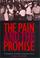 Cover of: The pain and the promise