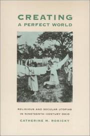Cover of: Creating a perfect world | Catherine M. Rokicky