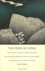 The story of stone by Jing Wang, Jing Wang