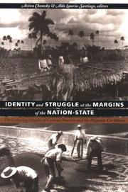 Cover of: Identity and Struggle at the Margins of the Nation-State by 