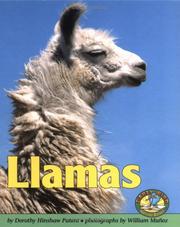Cover of: Llamas (Early Bird Nature Books)