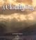 Cover of: A Cloudy Day (First Step Nonfiction)