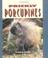 Cover of: Prickly Porcupines (Pull Ahead Books)